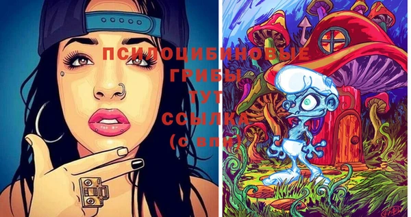 спиды Кинешма