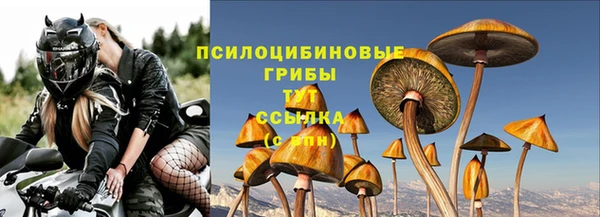 спиды Кинешма