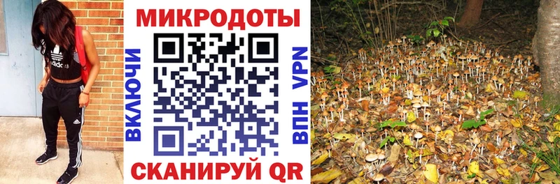 купить наркотики сайты  мега ссылка  Псилоцибиновые грибы GOLDEN TEACHER  Долгопрудный 