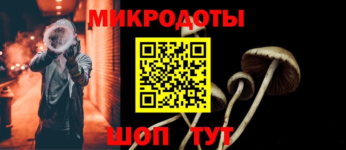 Долгопрудный  Галлюциногенные грибы Psilocybine cubensis  Вход с VPN 