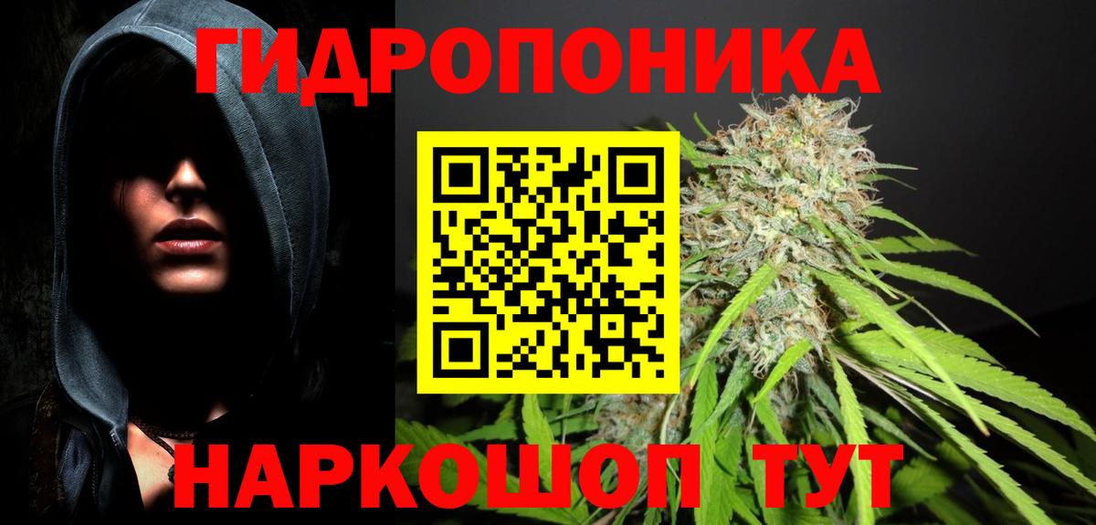 Каннабис Amnesia Долгопрудный